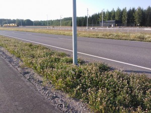 3.2.viherpainanne_perusteksti